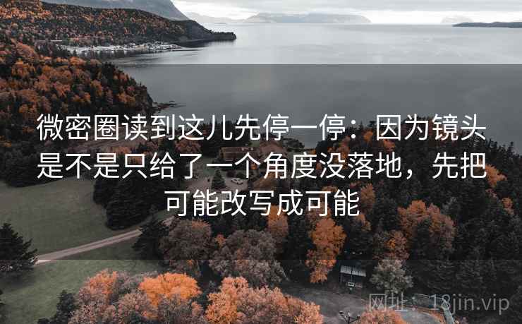 微密圈读到这儿先停一停：因为镜头是不是只给了一个角度没落地，先把可能改写成可能